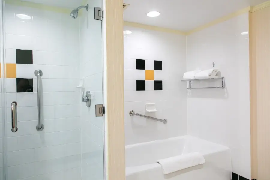 Professional Plumber